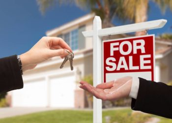 Realtors – Exactly What Do They Are Doing?