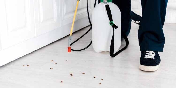Five Reasons To Hire Professional Pest Control Services For Mosquito Extermination