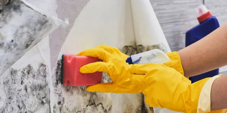 How Mold Affects Children’s Health